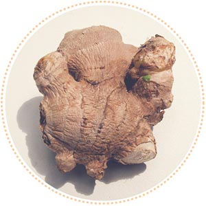 Oblike in njihove pomen